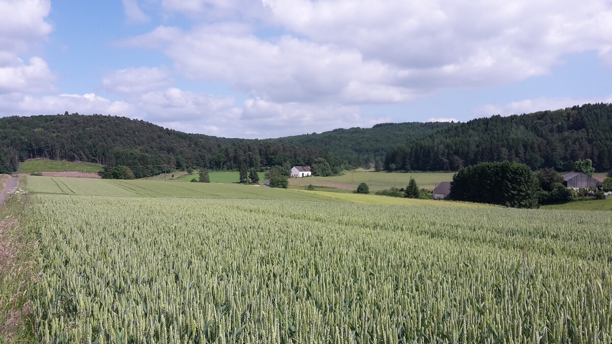 Hahn/Eifel Farmhouse