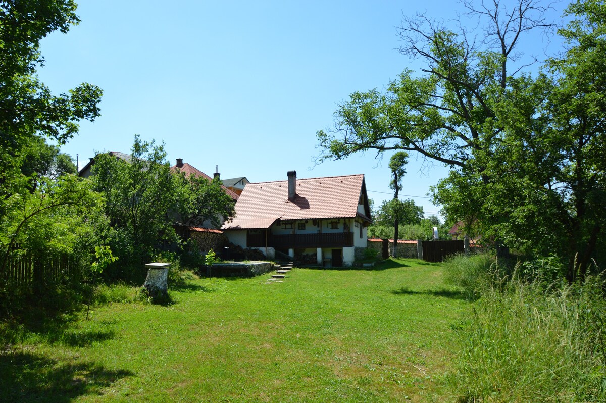 Transylvania的传统Stone House of Maramures