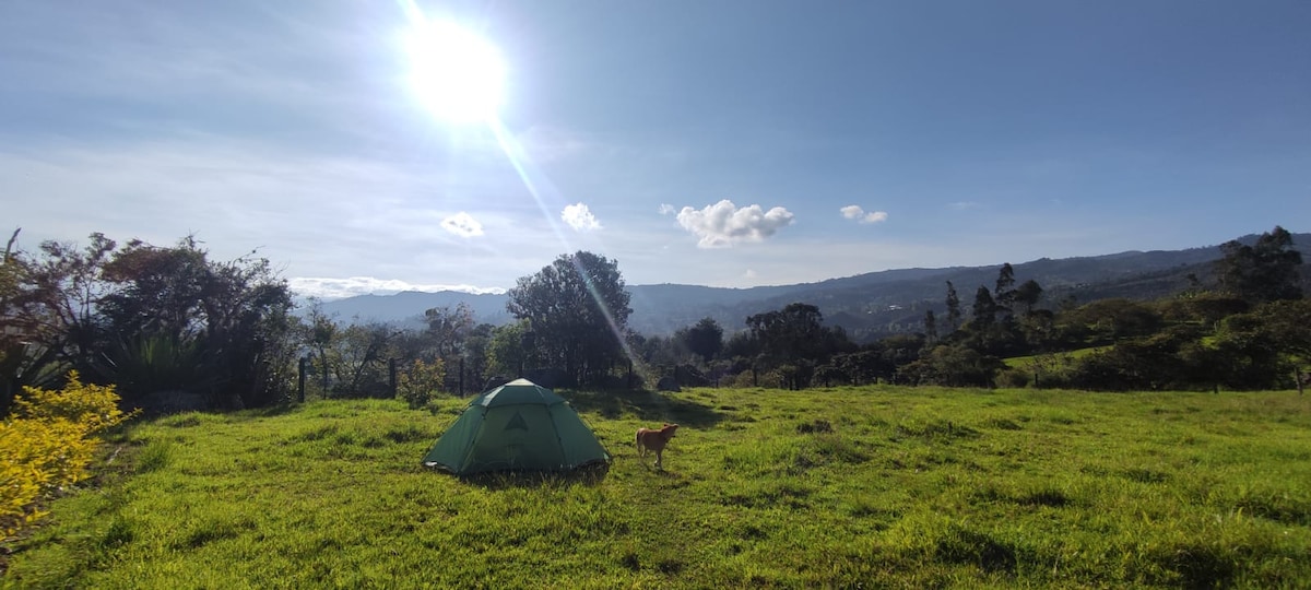 Finca El Cidro - Zona de camping