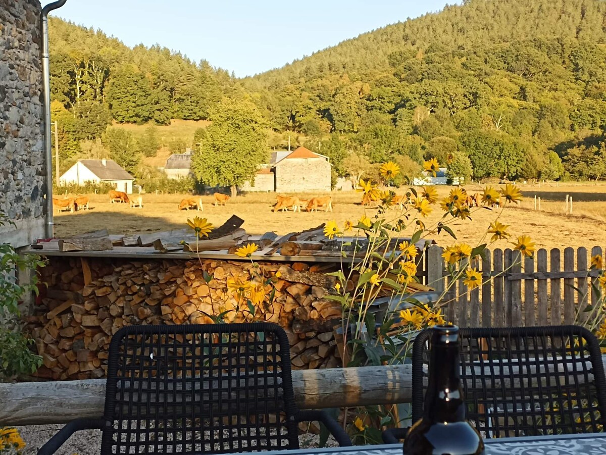charmante grange rénovée dans les Pyrénées