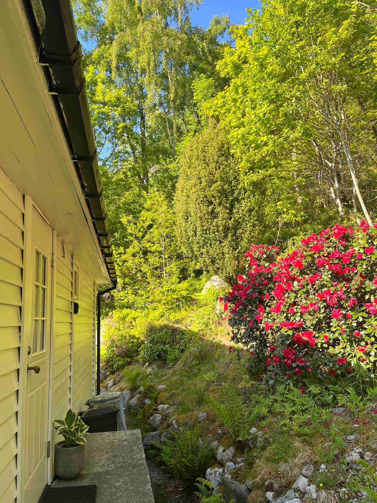 可俯瞰Lysefjord美景的小木屋