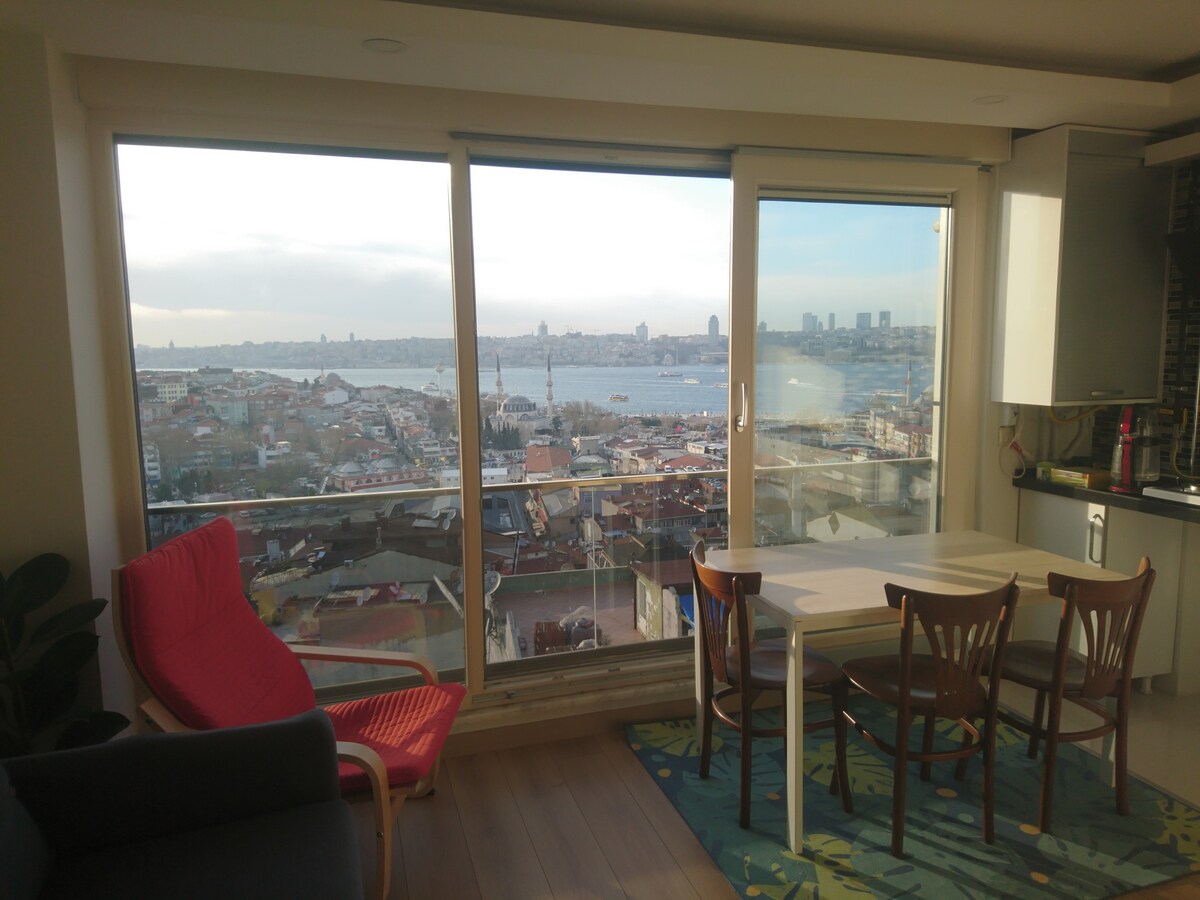 伊斯坦布尔公寓，景色迷人2