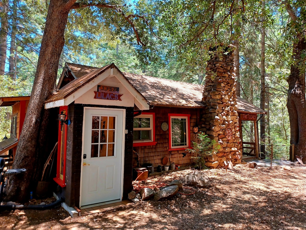 Cool, Cozy, Cute 1920s Mt. Cabin: Natural splendor