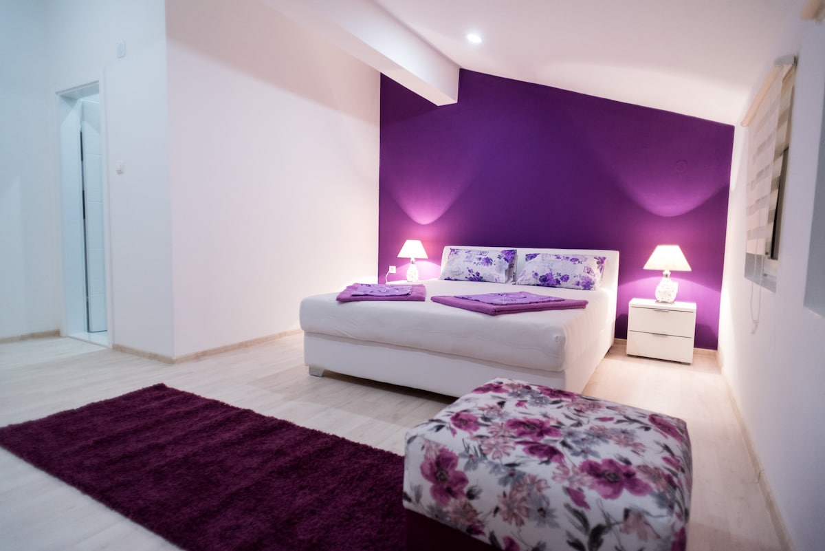 紫色房间1