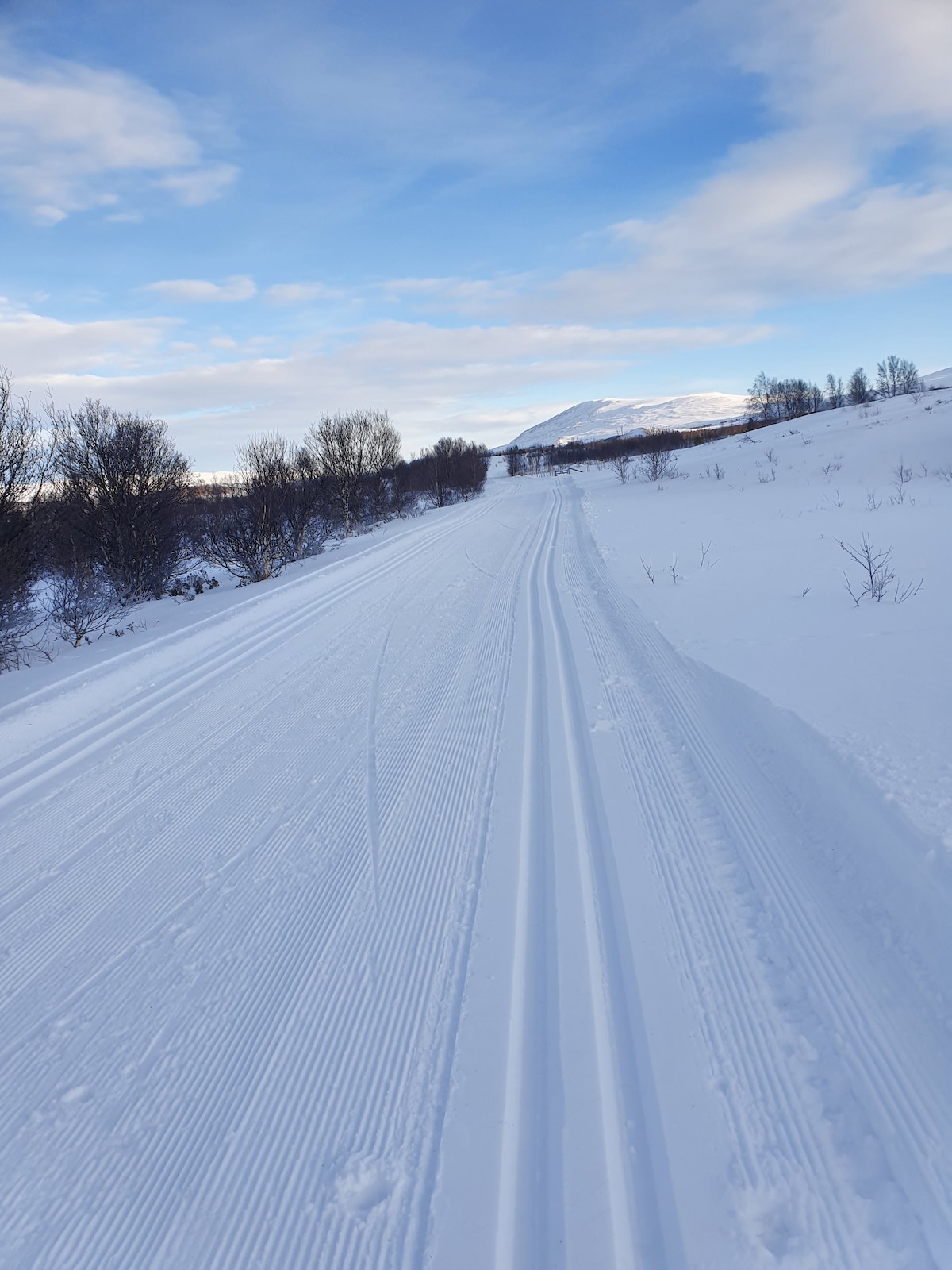 Fin leilighet til leie på Dombås