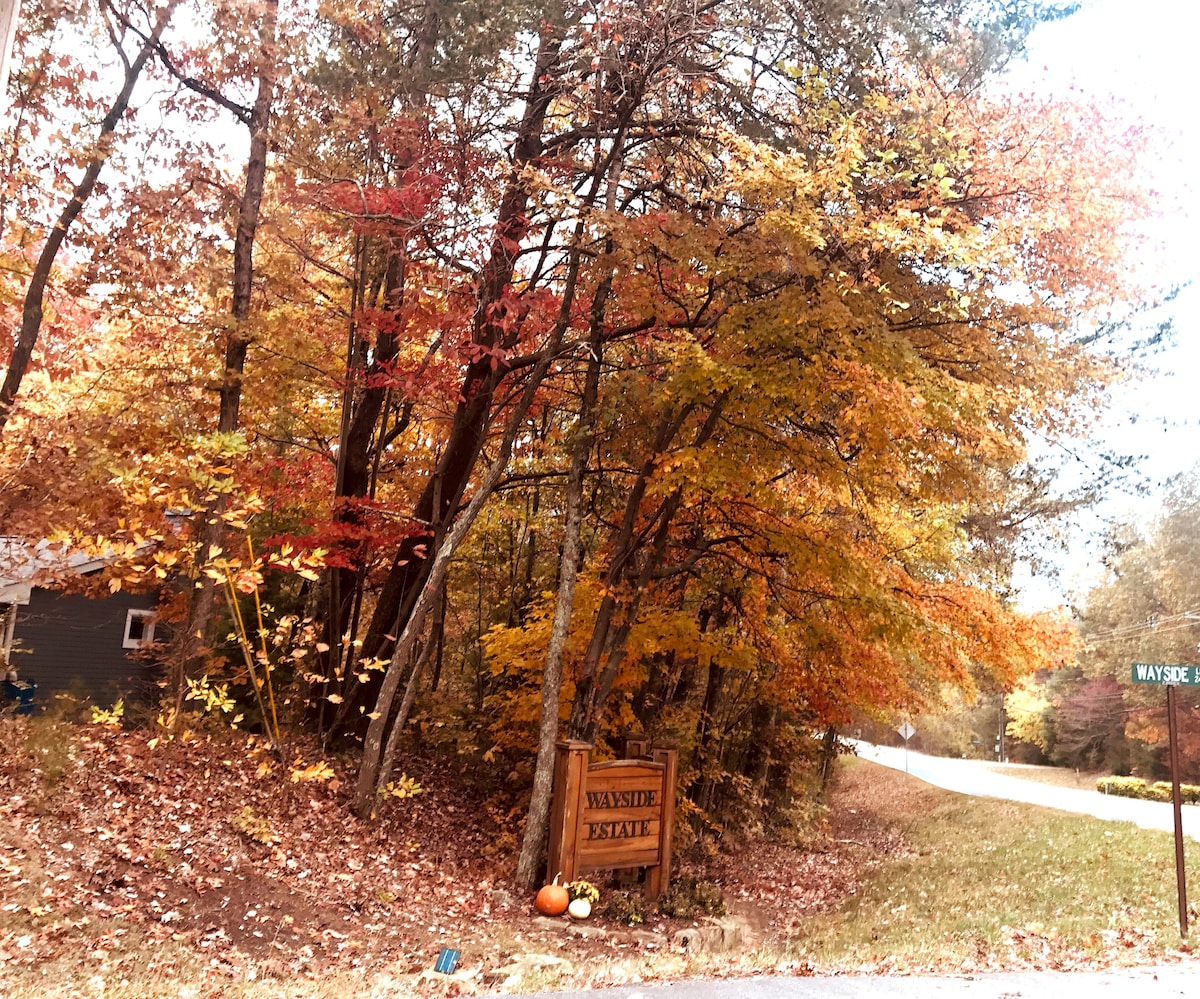 The Cabin at Wayside是一个舒适的木质度假胜地！