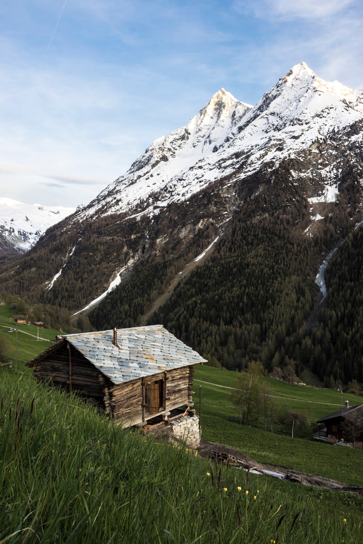 mayen Madeleine, Val d 'Hérens, Valais, Sion Suisse