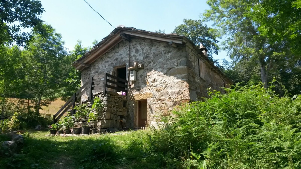 Preciosa cabaña pasiega restaurada