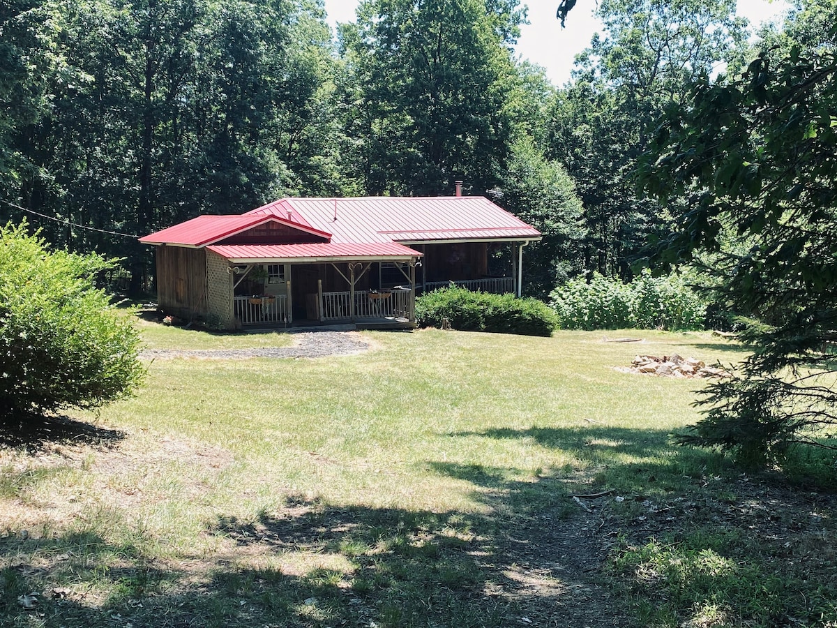 Peaceful cottage nestled in woods of the Pa Wilds