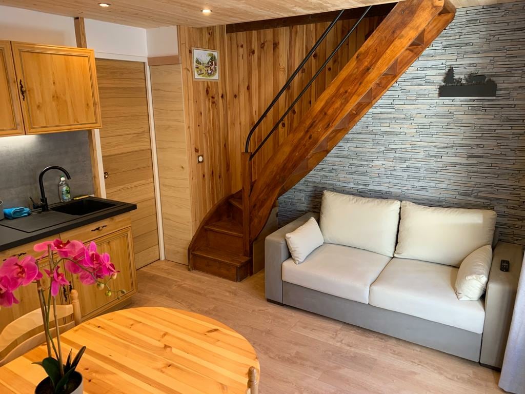 Appartement style montagne 4 personnes