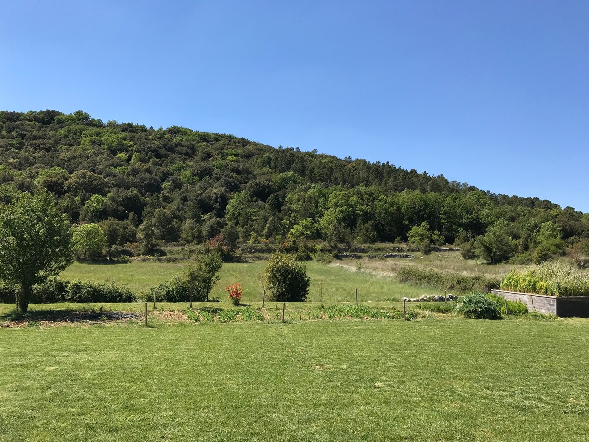 maison avec piscine et chat, gorges de l' Ardèche