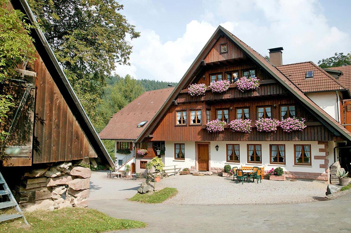 Hanselehof ， （ Oberwolfach ） ，公寓主屋类型II ，最多6人