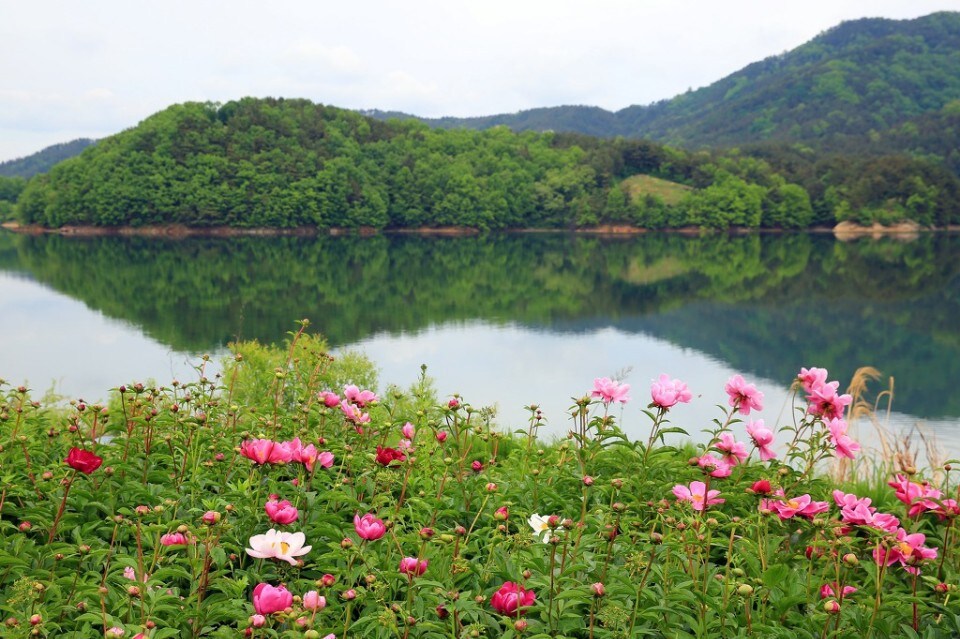 Daejeon Daecheongho私人住宅：云桥