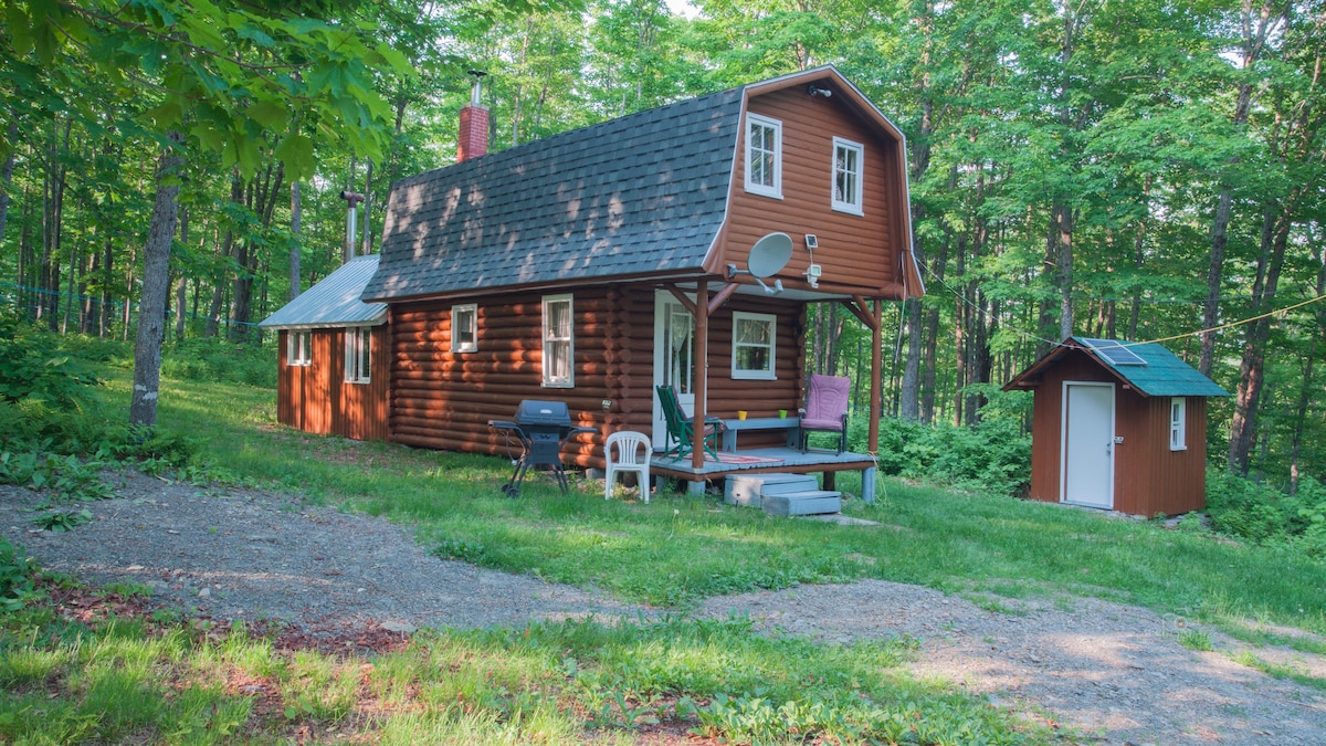 Forest Healing Cabin