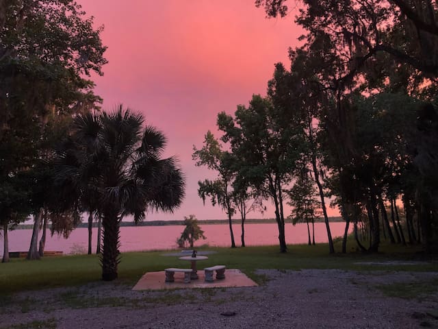 新士麦那海滩(New Smyrna Beach)的民宿