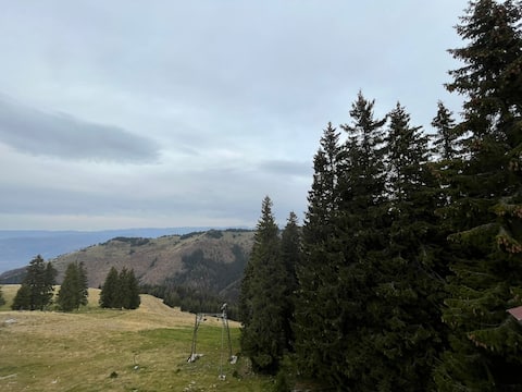 Cabana Fulg de nea