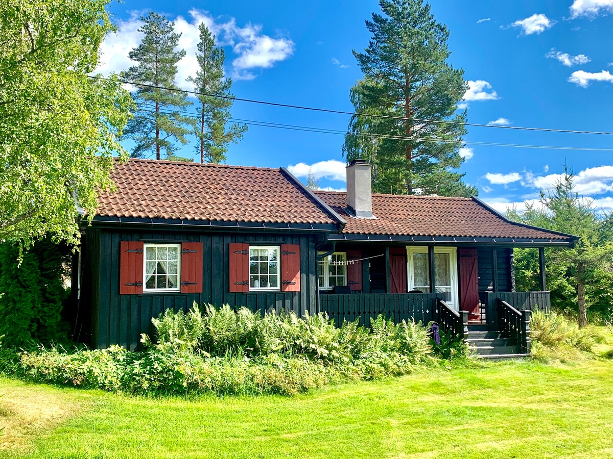 Solrik hytte med fibernett og gode turmuligheter