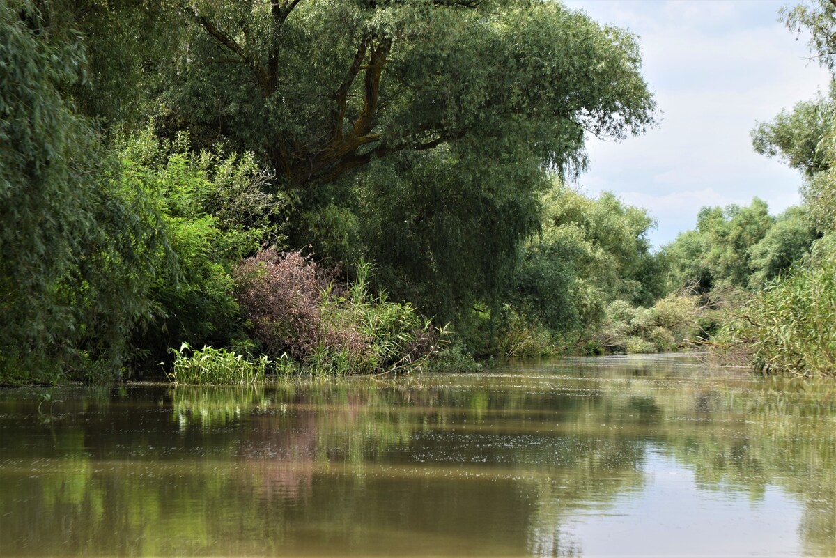 Danube Delta Wildlife-Watching Boat Tours