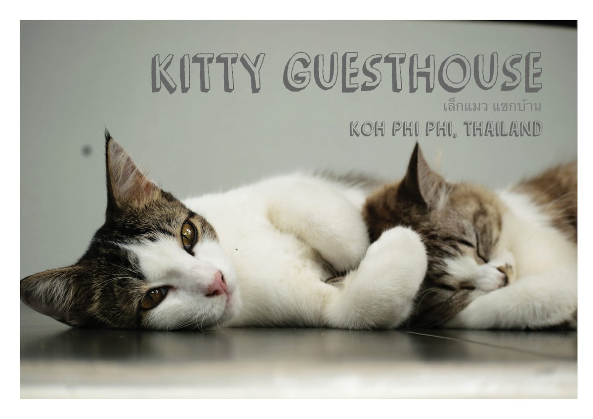 Kitty Guesthouse, koh Phi Phi （高级客房）