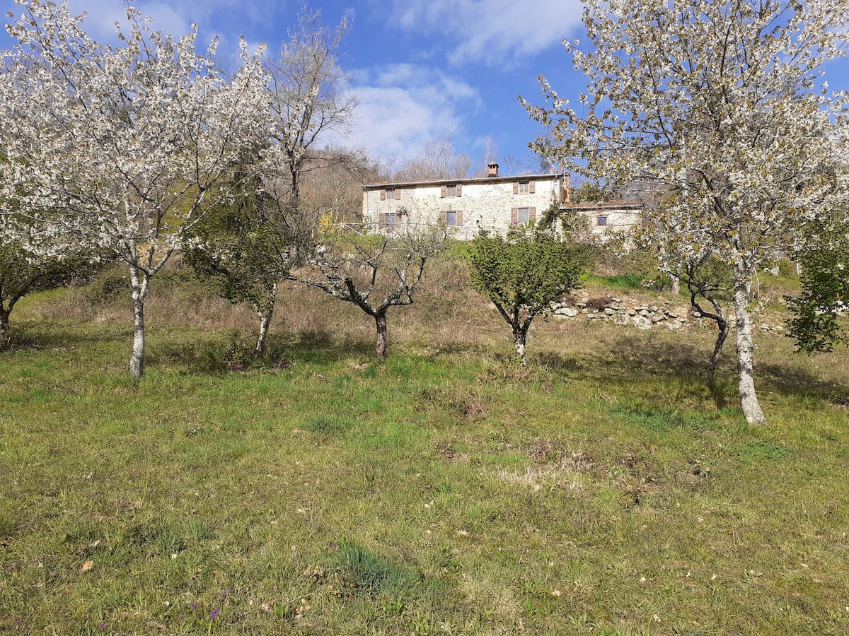 Studio in traditional Casale Lastri in the forest