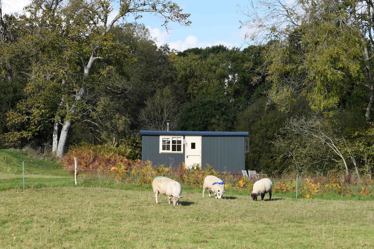 刘易斯附近幽静的牧羊人小屋