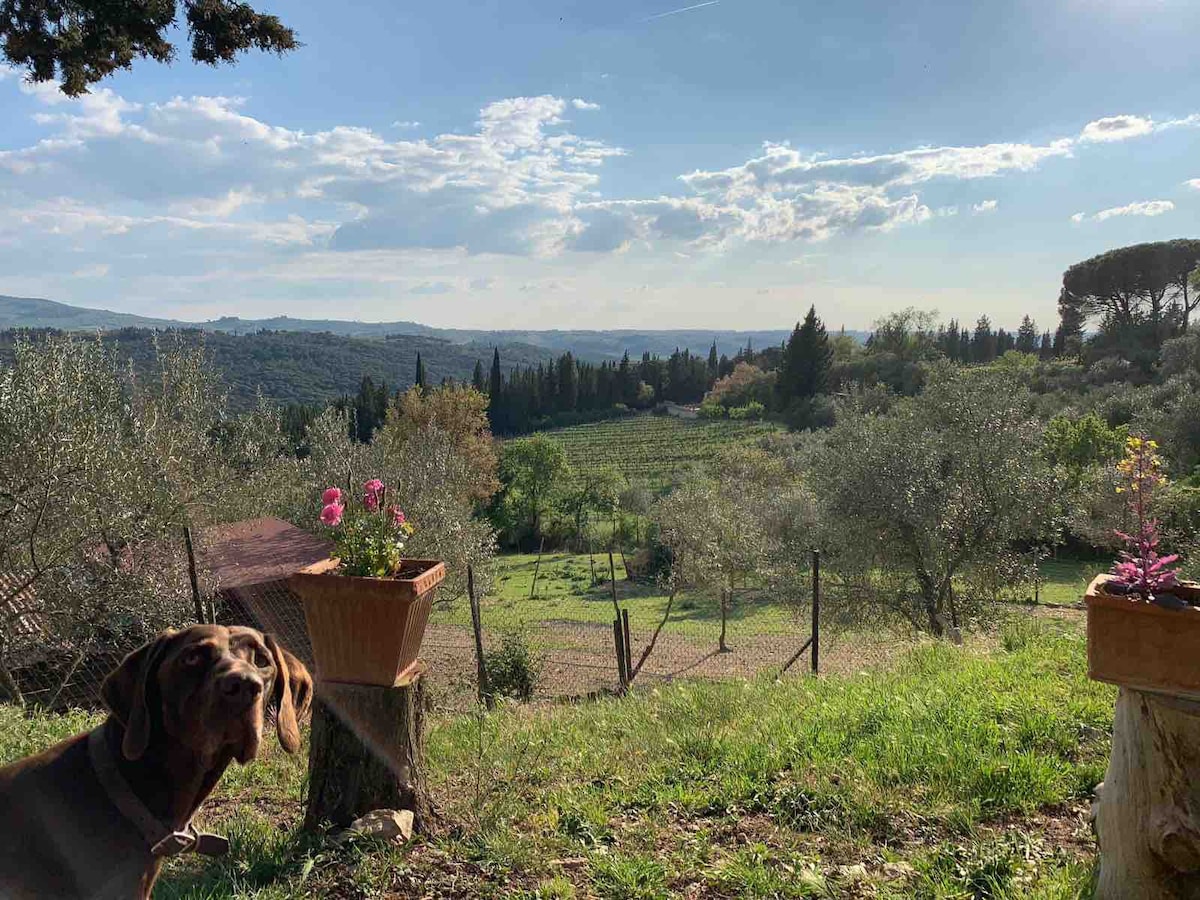 Fattoria Santa Cristina a Pancole