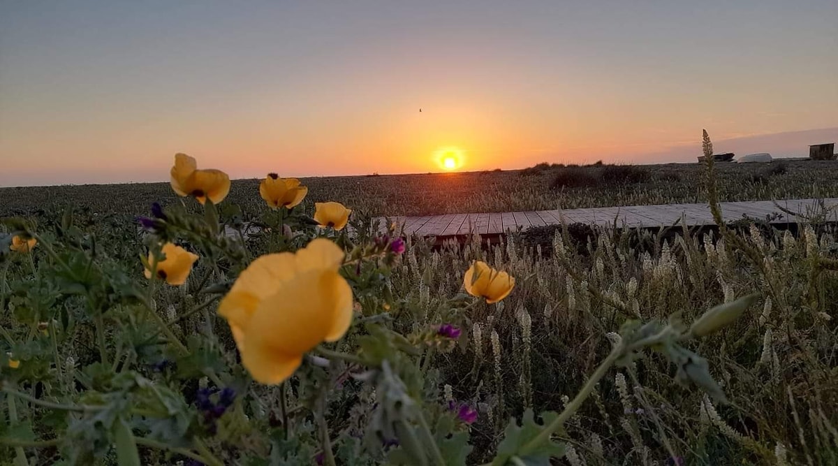 Ti affacci e guardi il mare