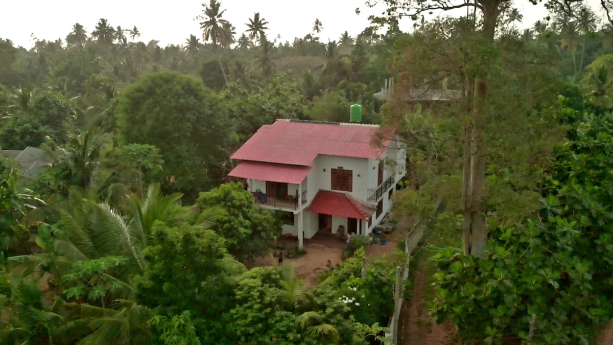 kusuma's jungle house