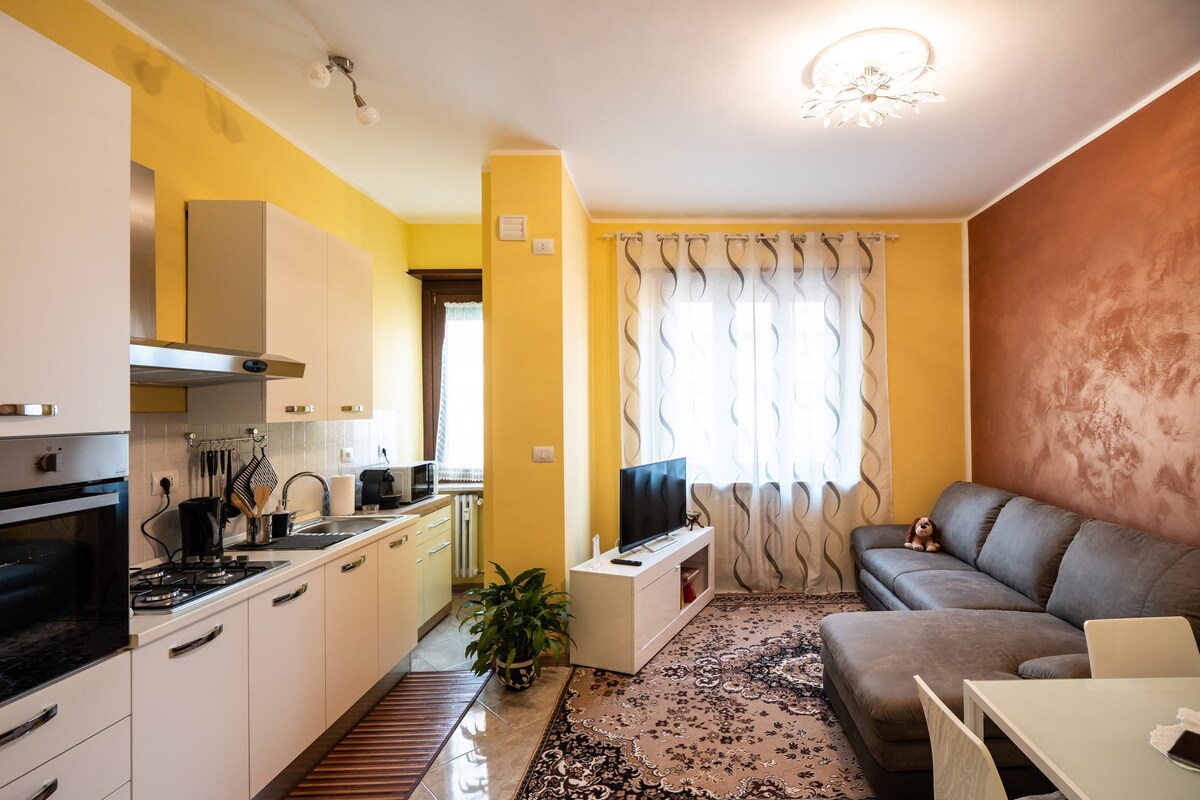 Casa Baciu ： Lingotto地区的舒适双房公寓