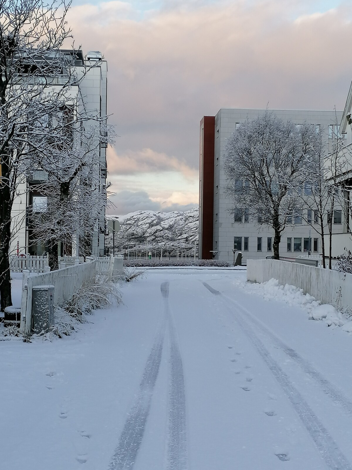 Bodø, nært sentrum og flyplass 4 gjester