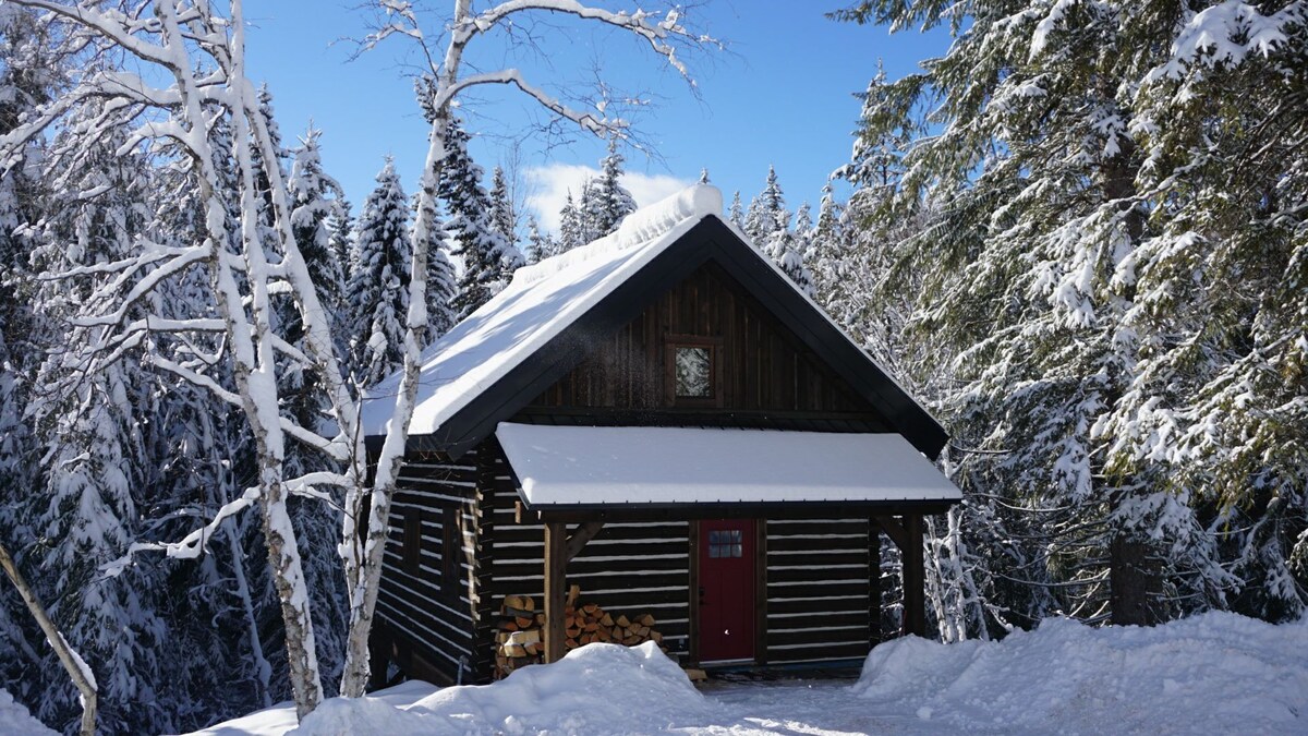 Bison Cabin Dovetail Log Mountain Life Getaway