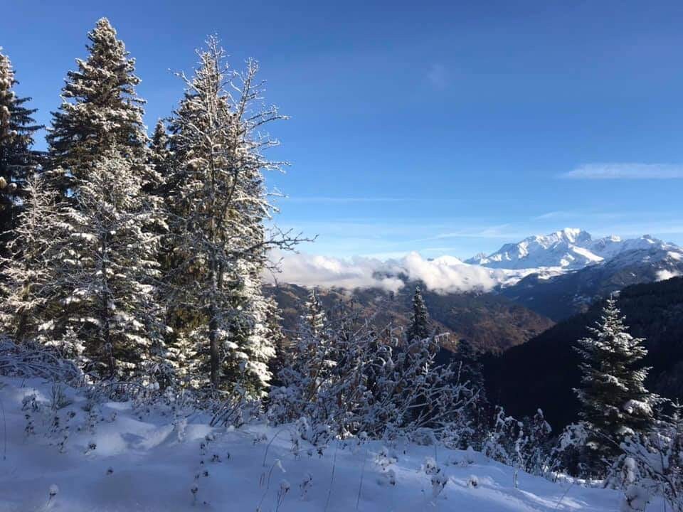 舒适的木质度假木屋，可欣赏到勃朗峰（ Mont Blanc ）的美景