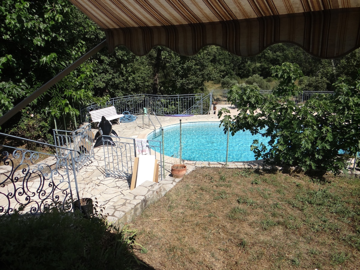 普罗旺斯带游泳池的别墅