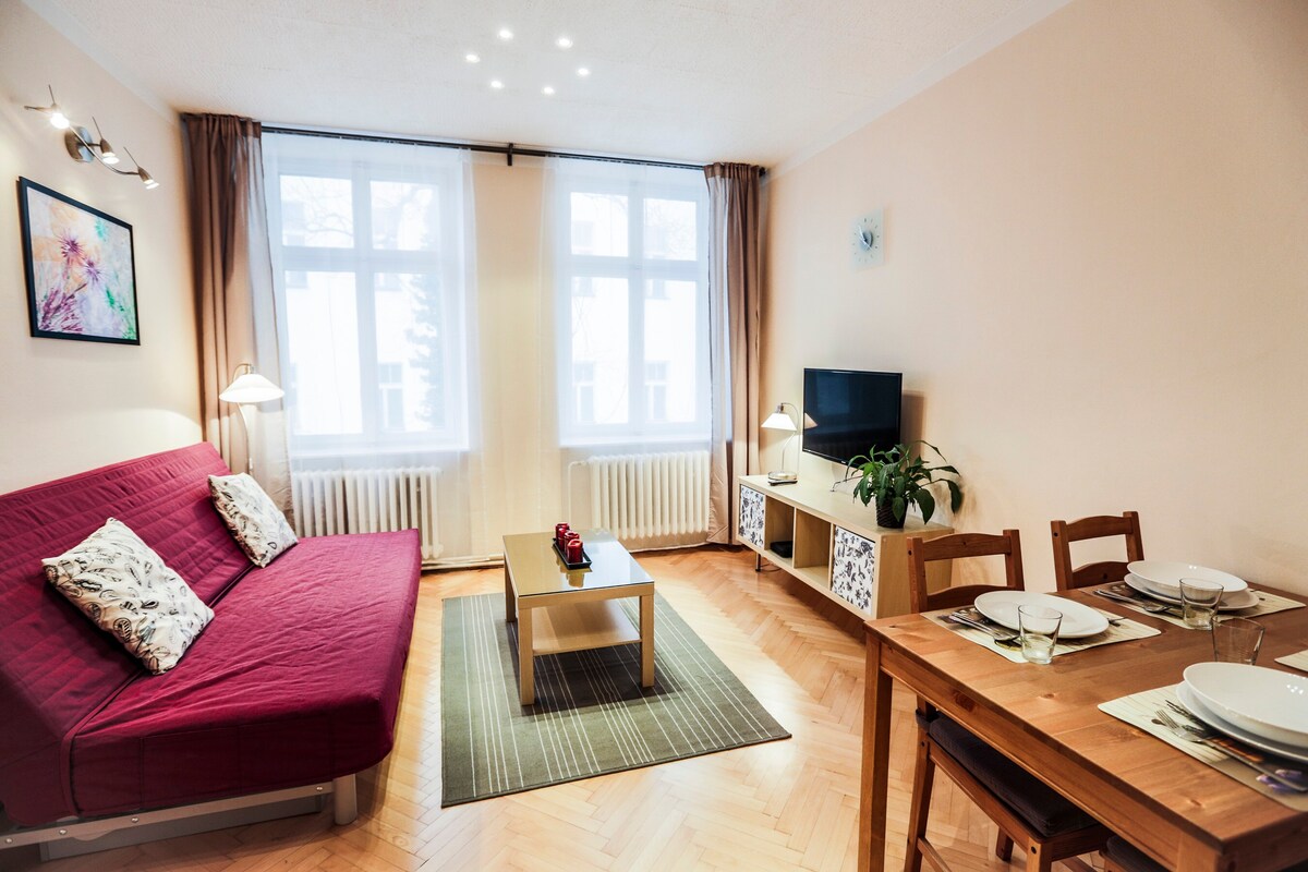 位于布拉格市中心的舒适新公寓9 ，免费无线网络