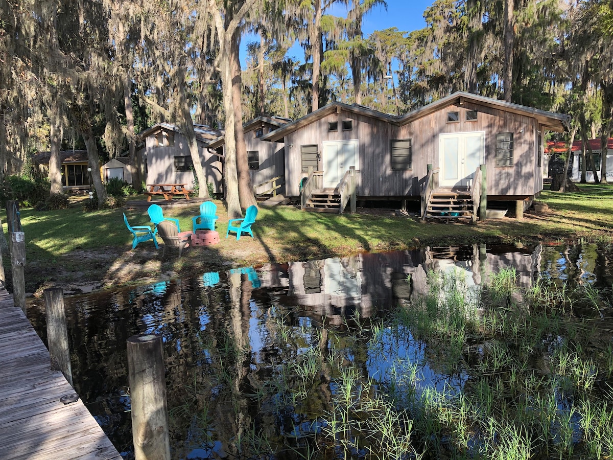 Lake Front Home ，带私人码头，位于路易莎湖（ Lake Louisa ）