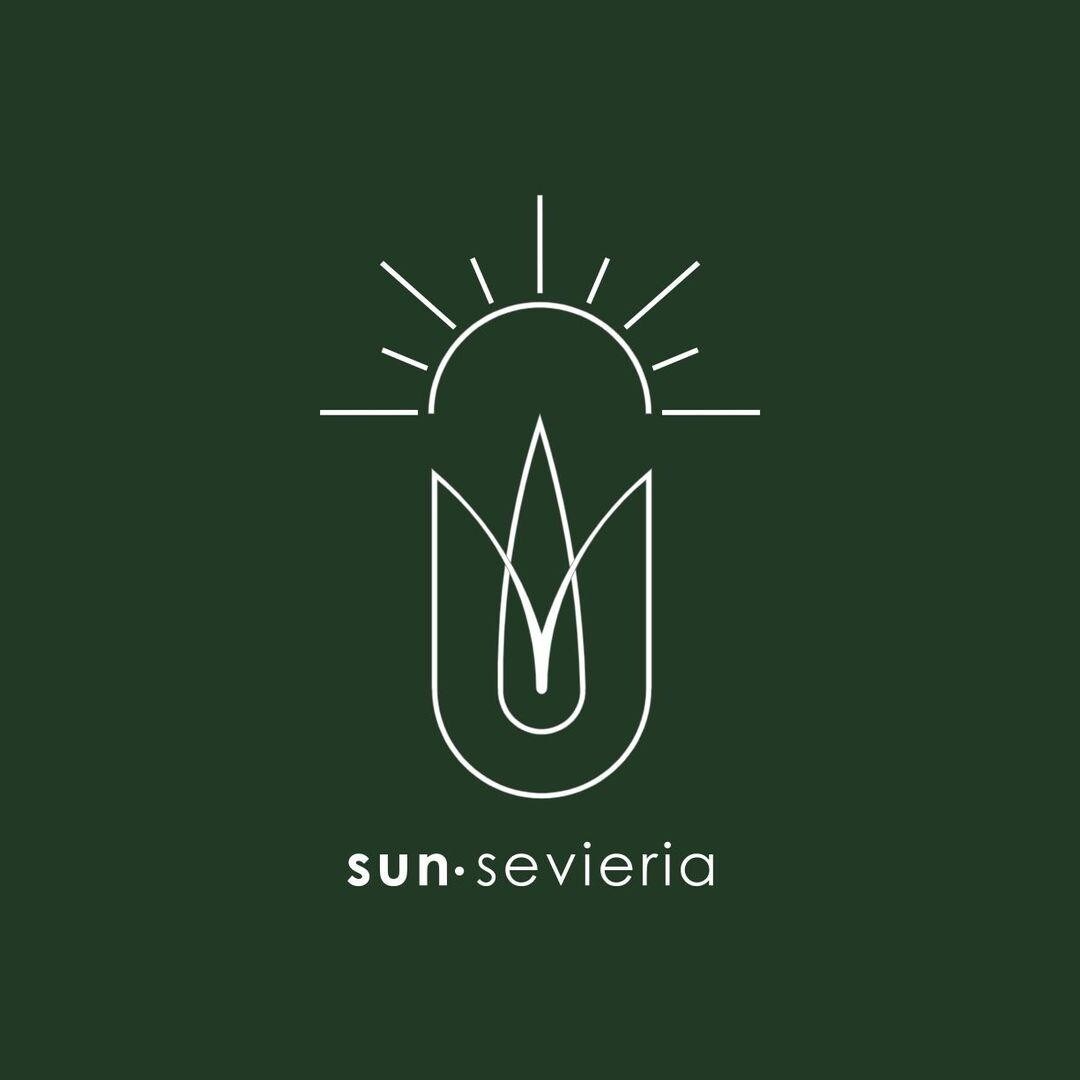 Sun-sevieria距离海滩5英尺。