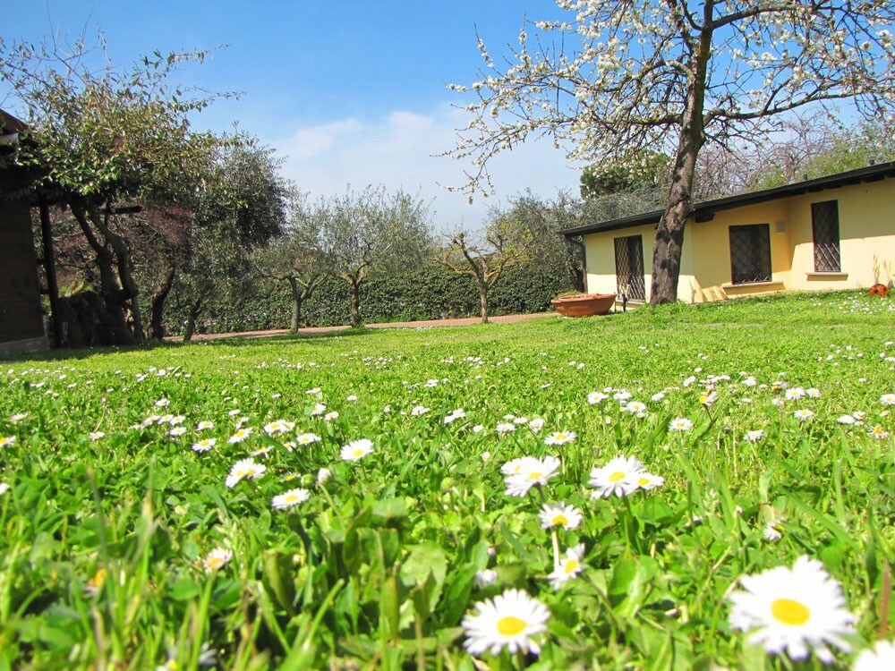 Lovely B&B room on hills of Albano lake, parking