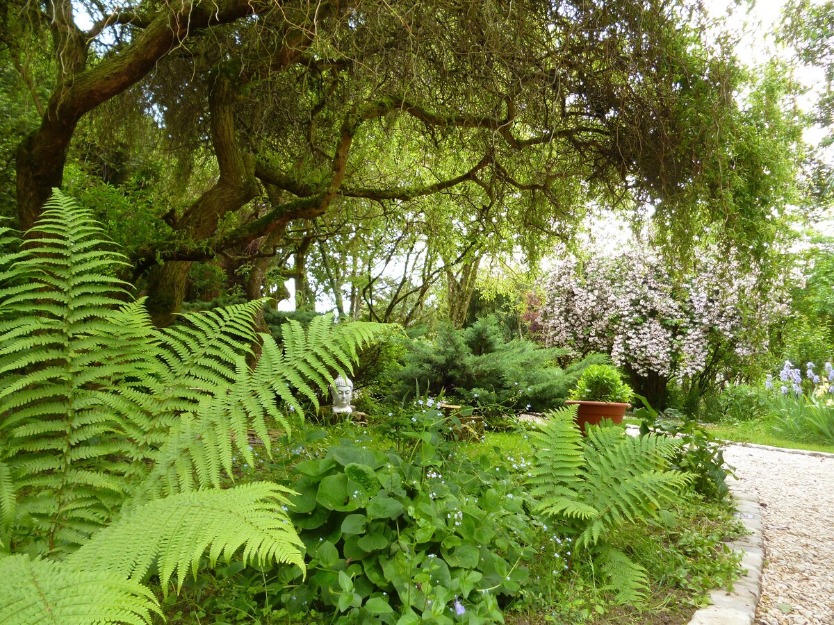 Le Gîte de Laurence