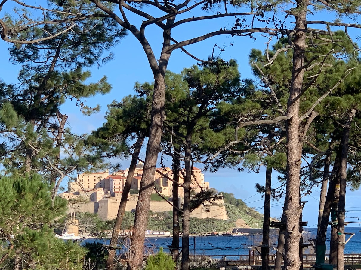 Appartement vue mer, sur plage de Calvi