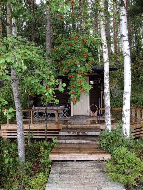 Konnevesi湖畔的小木屋。