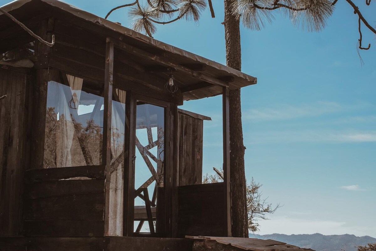 Tree house nest