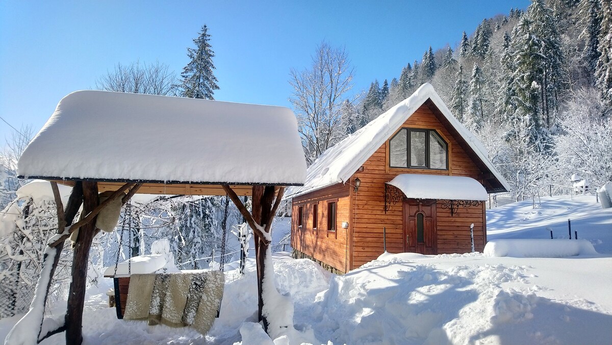 Private cottage Lisowa Hatka Yavoriv
