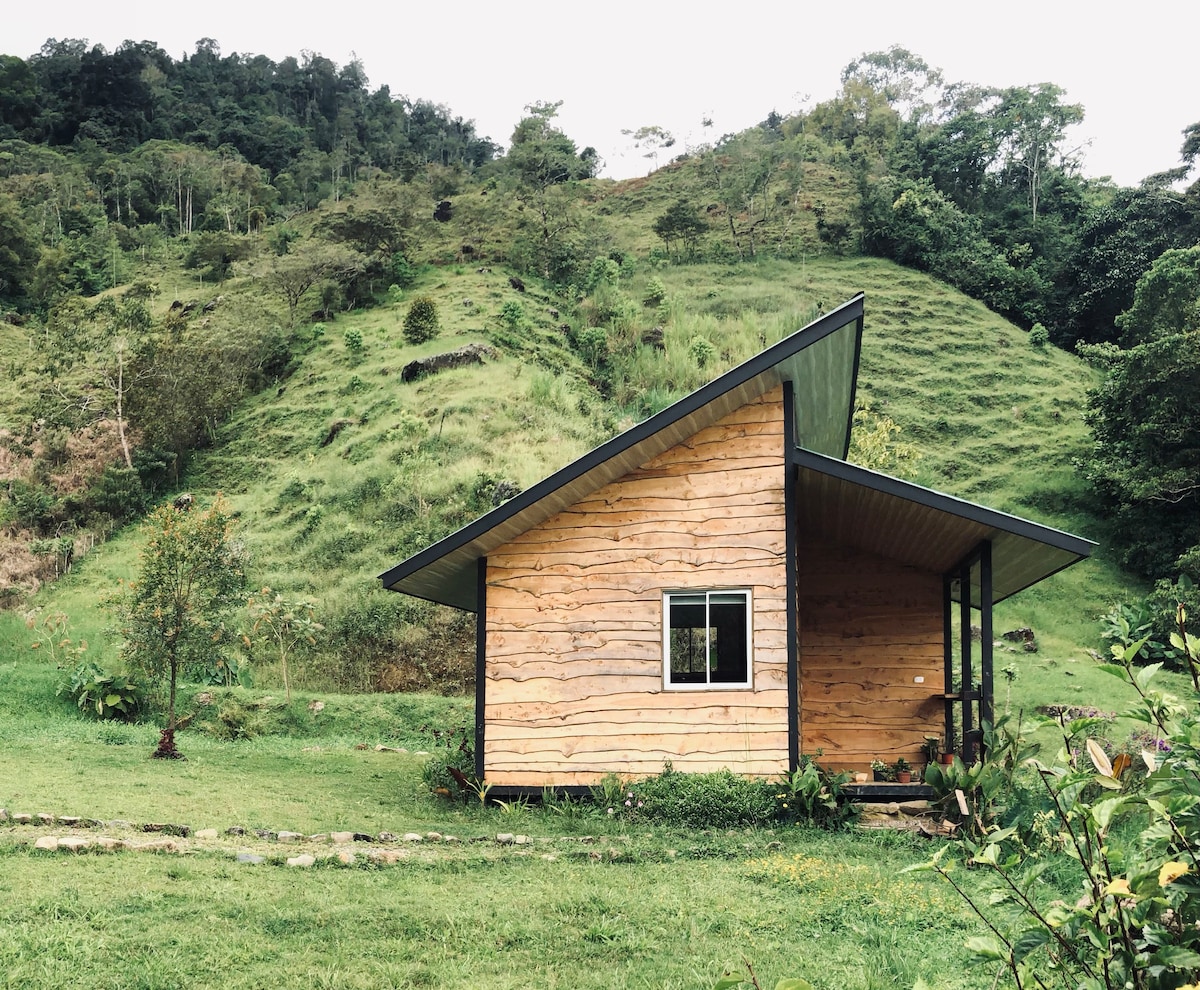 #3 Comfortable Tiny home studio with loft