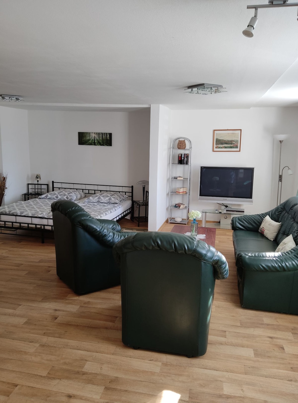 Gemütliches Appartement im Harz