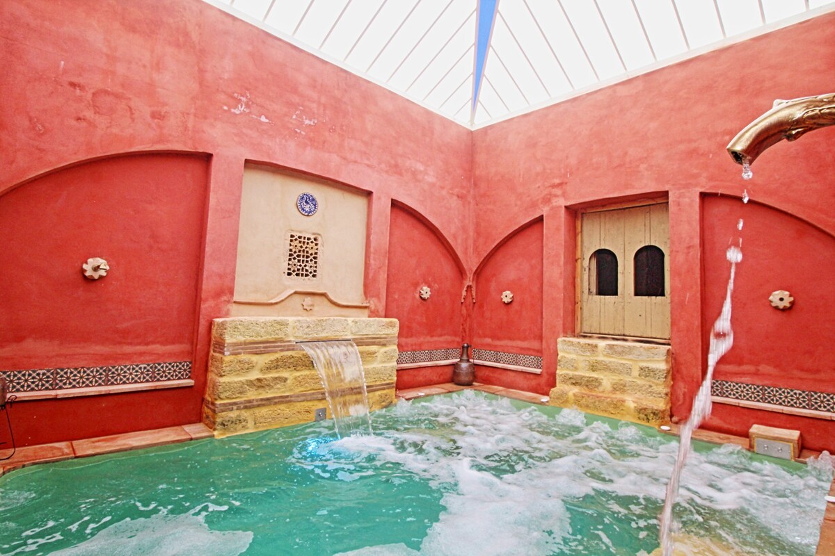 Villa with Sauna Hamman pool in Seville