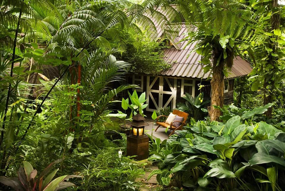Phitsanulok环保雨林度假村