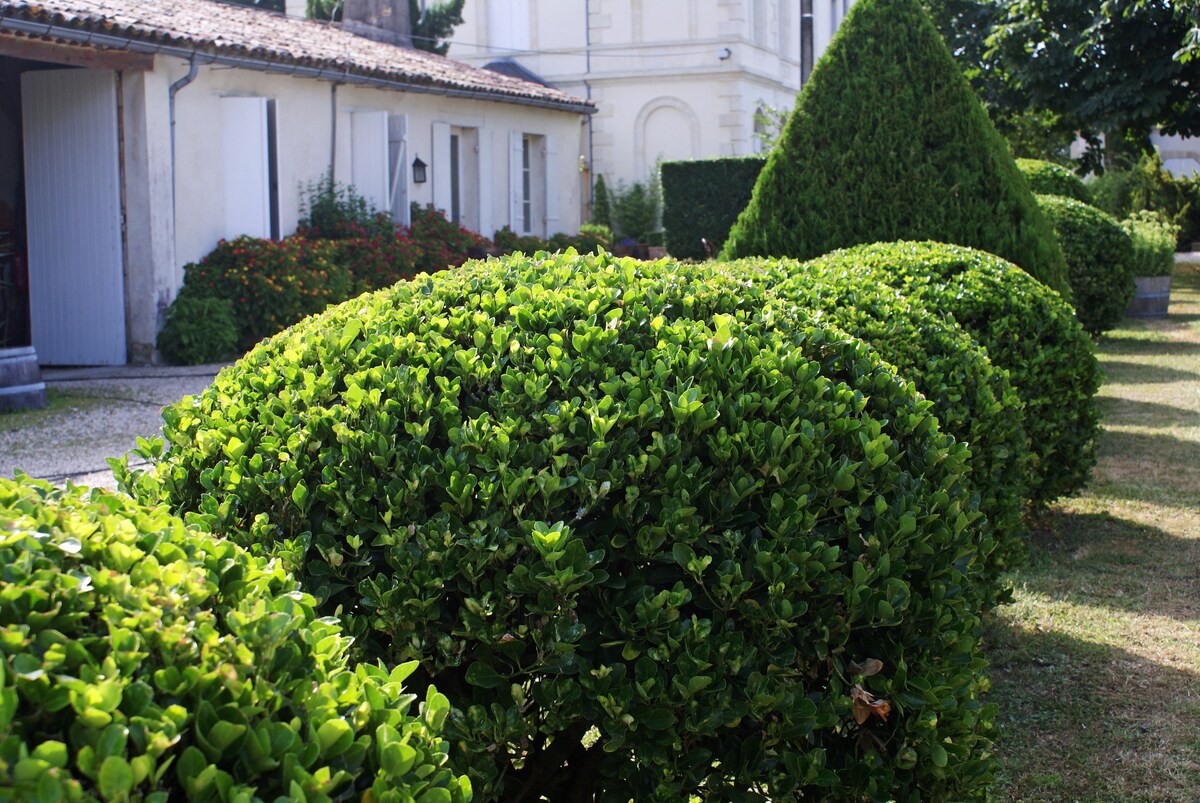 Gite du château Beausite