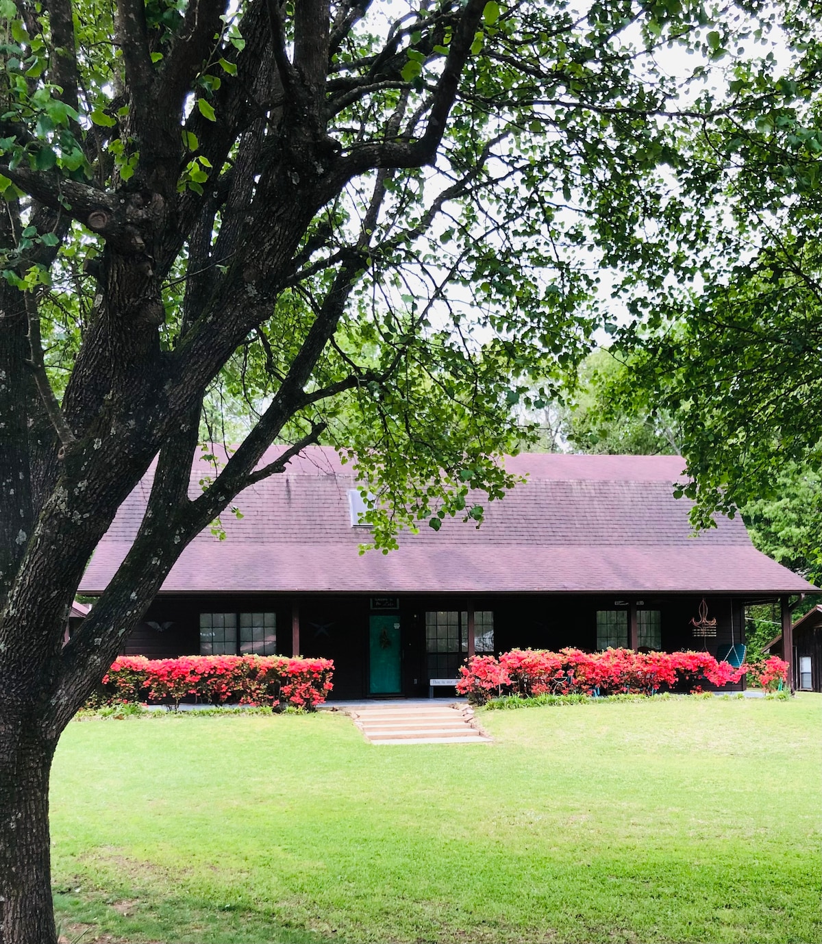 Lakeview Ln Cabin Lake Greeson Self Creek Daisy Ar