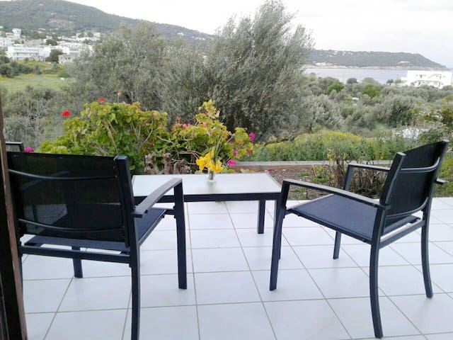 Aegina的民宿