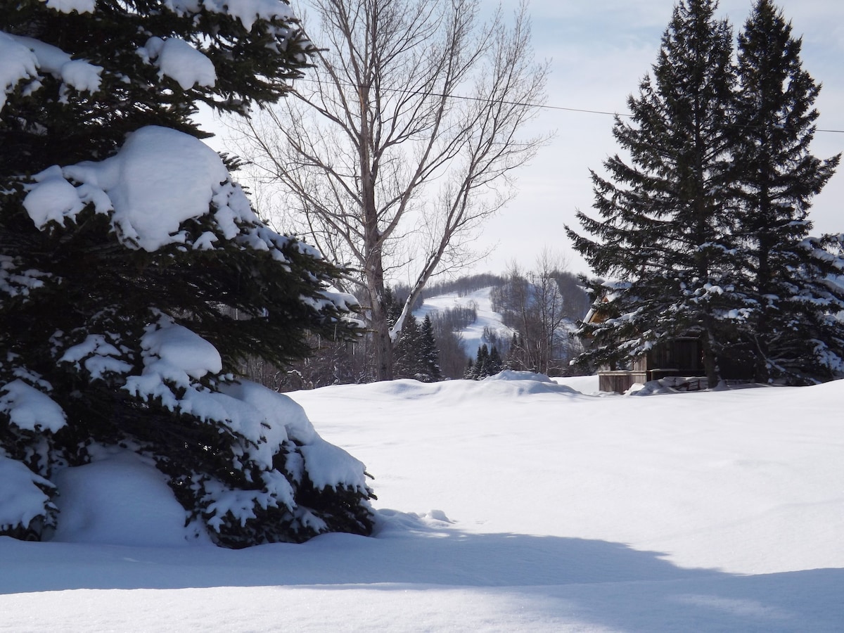 LOOSE MOOSE LODGE at Big Powderhorn Mountain